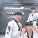 경희대 KTIGERS 태권도 네이버블로그