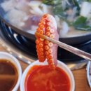 시흥 낙지전골맛집 &#39;빨간거짱구네 시흥장현점&#39;에서 하얀거 연포탕먹은 솔찍후기~!