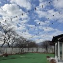 대로민박 이미지