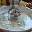 꿀참나무 이미지