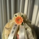 굿모닝청과 이미지