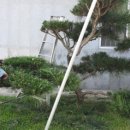 철마우체국 이미지