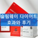 슬림웨이 다이어트 해국 추출물 효능 다이어트 후기 체지방 감소 효과