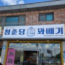 청춘당꽈배기 - 화성시 삼천병마로 699 | 파주 가볼 만한 곳 갓 만들어 따끈한 청춘당꽈배기 파주산남점 솔직 후기