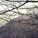 설피공간 이미지