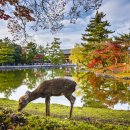 천도여관 이미지