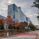 나비허리길 네이버블로그