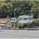 한라민박 이미지