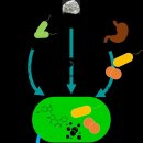 한국사료주식회사 이미지