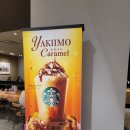 토마토프라자 이미지