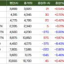 에스디렌터카 이미지