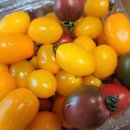 하동농협하나로마트중앙점 이미지