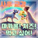 천성커뮤니케이션 | 강아지 환생을 약속한 화이트 슈나우저 사후 애니멀 커뮤니케이션