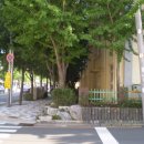 부민초등학교 이미지