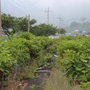 서부농장 이미지