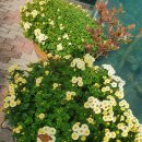 주왕산휴식소 이미지