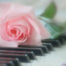 유월의 장미 .... Tol &amp; Tol - Last Night Serenade 이미지
