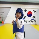 경희 라이온 태권도장 이미지