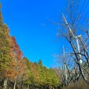 용암정화장실 이미지