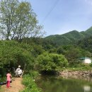 산으로간니모 이미지