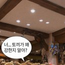 2023-0112 이미지