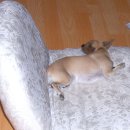 생활요가 이미지