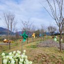 국화황토공원 이미지