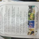 은평국제유치원 이미지