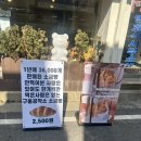 소금 | 순천 베이커리 카페 '구움공작소' 소금빵 맛집 솔직후기