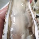 통영굴 조개구이 이미지