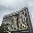 아간지 | 세돌아가랑 더플라자서울 호캉스 수영장 후기