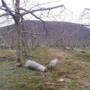 십년농장 이미지