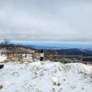 인구목장 이미지