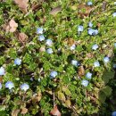 10코스ㅡ 우면산 이미지