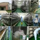 에버랜드 동물병원 이미지