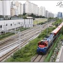 H1509 이미지