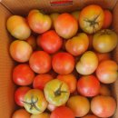 ❤ 금요일 특가찬스 놓치지마세용~~ ❤ 이미지