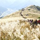 안새내길 이미지