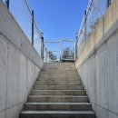 파파홈(문산점) | [파주/문산] 반려견 함께 하는 글램핑!! 파주 파파홈 🏕