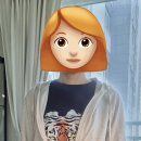 독도세탁 이미지