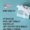 오늘도행복한스푼 Daum카페