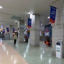 펫버스 | 2025 케이펫페어 일산 메가주 펫박람회 주차 주차장 및 방문 후기