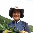 대행농장 이미지