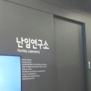 퍼스트에비뉴안경 | 나의 난임일기 ep.1 : 나팔관조영술 통증 후기 | 자궁선근증, 다낭성 난임검사