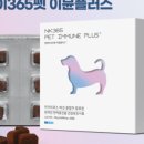 엔케이플러스
