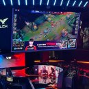 코르키코르키랩 | T1 vs. DRX 직관후기 & 레딧 반응 (2022.01.20)