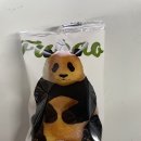 11월 다섯째주 일상