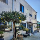 나무로스터리카페 이미지