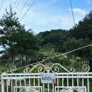 속초애견동반펜션 양양재인스가든 이미지