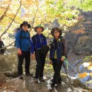 숨은진주 이미지